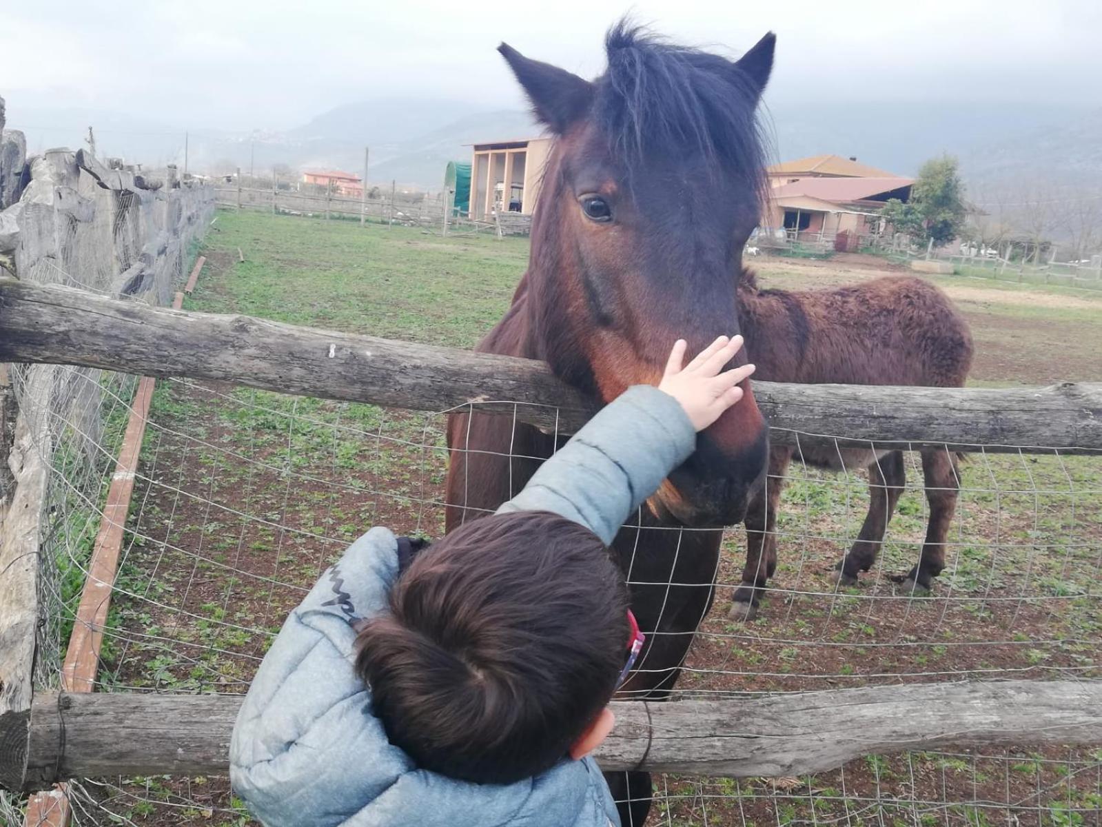 Casale Cavatella Bed and Breakfast Sermoneta Εξωτερικό φωτογραφία