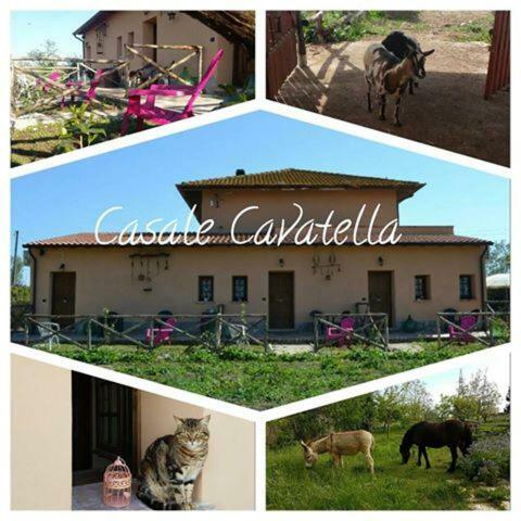 Casale Cavatella Bed and Breakfast Sermoneta Εξωτερικό φωτογραφία